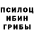 Галлюциногенные грибы GOLDEN TEACHER MER FRUTTI